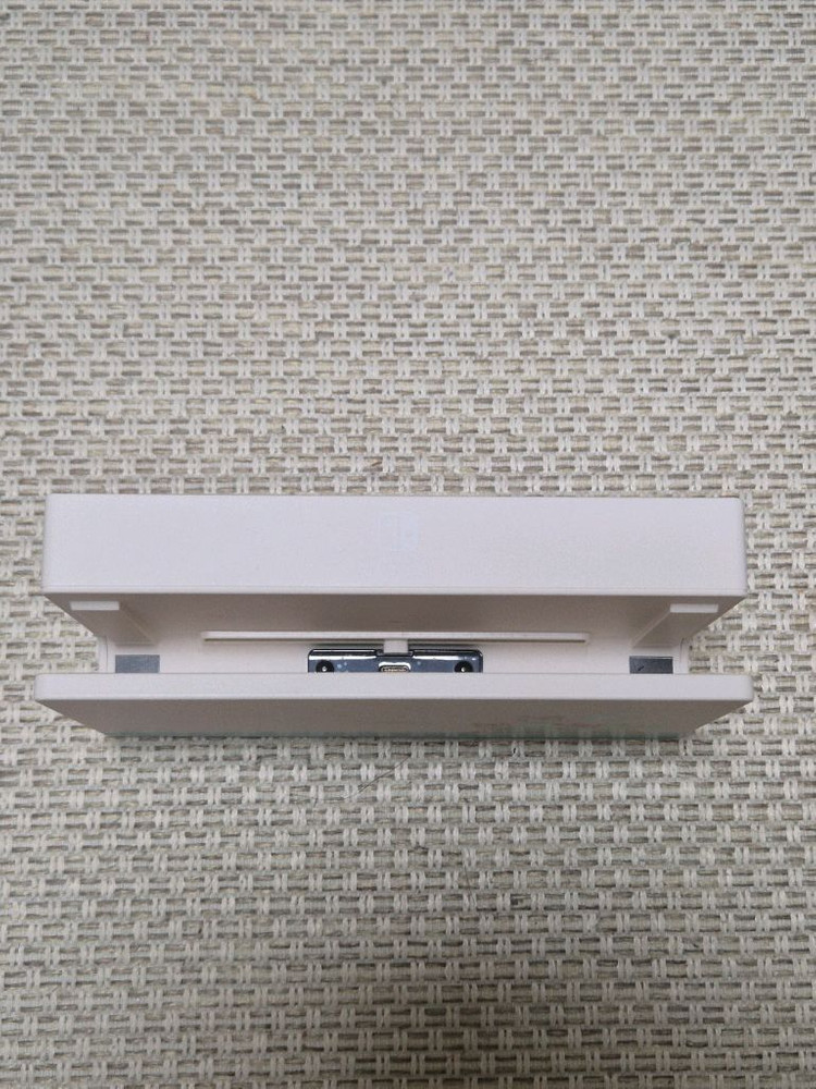 닌텐도 스위치 동물의숲 에디션 독 이미지