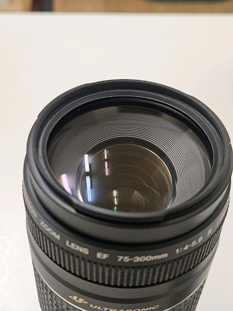 캐논 Ultrasonic ef 75-300mm 망원렌즈 이미지