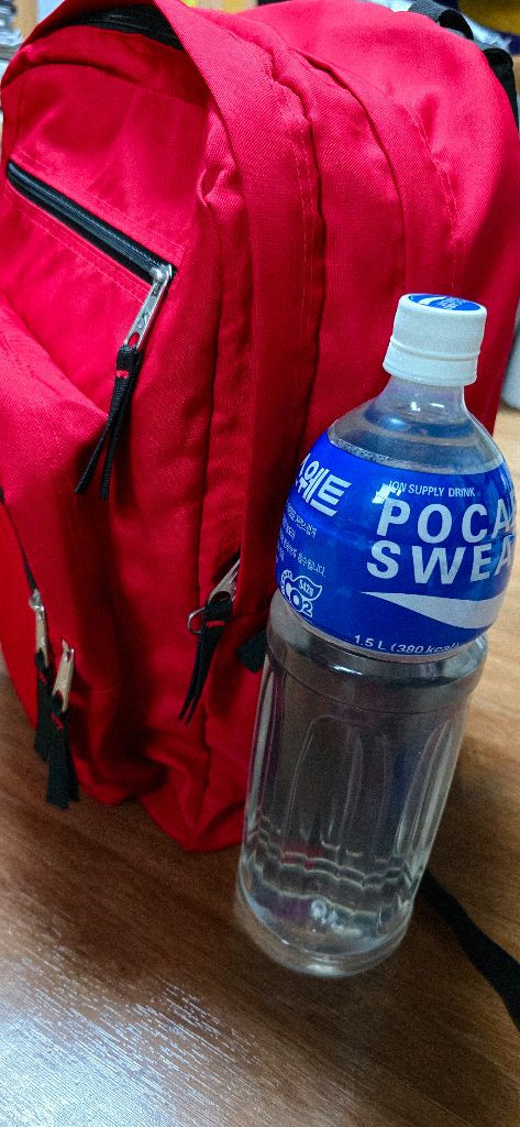 잔스포츠 가방, 잔스포츠 빅스튜던트 백팩 / JANSPORT,빨간색 이미지