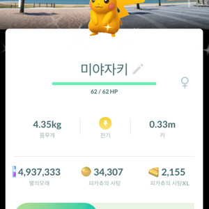 포켓몬고 미야자키 배경 이로치 피카츄 판매 이미지