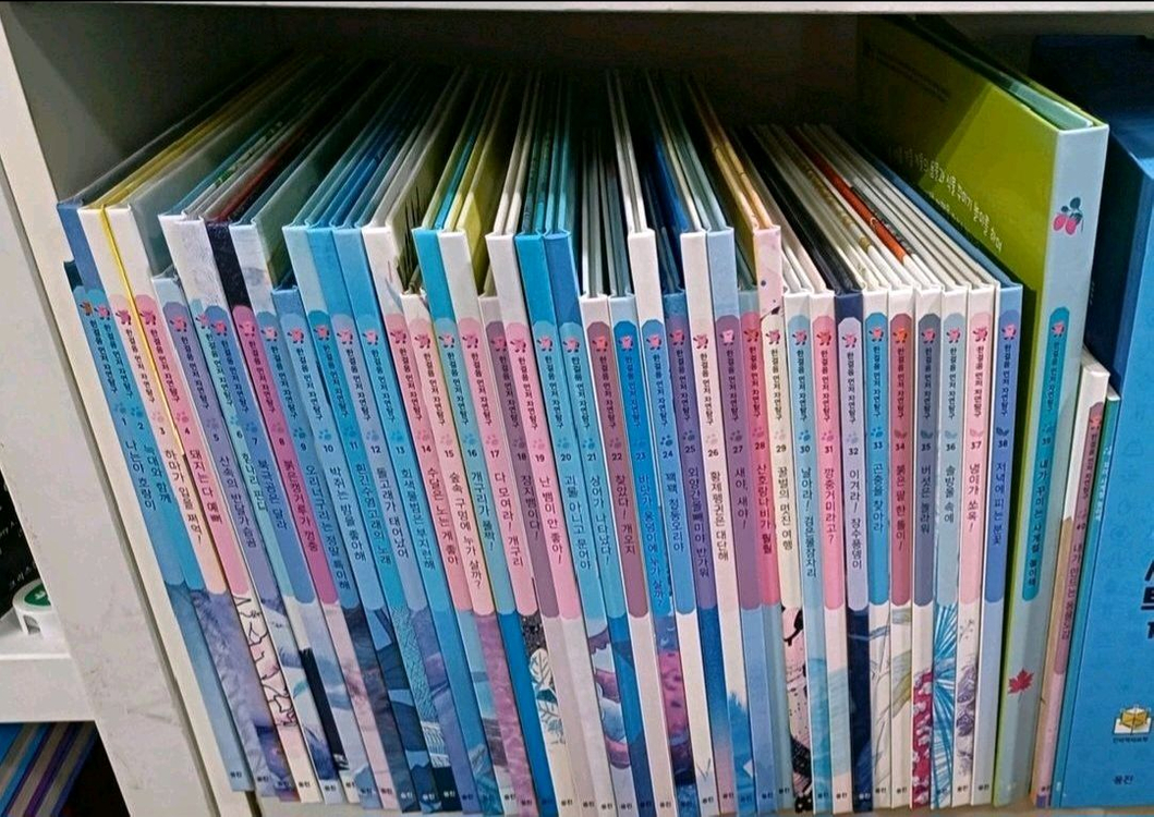 웅진북클럽 한걸음먼저 자연탐구 전40권 택포 이미지