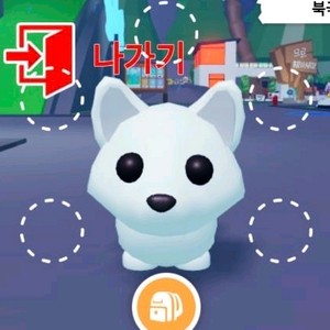 입양하세요 펫 날타 북극여우 이미지