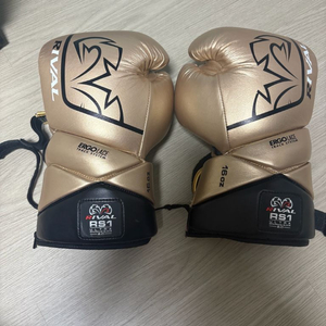rs1 라이벌 글러브 이미지