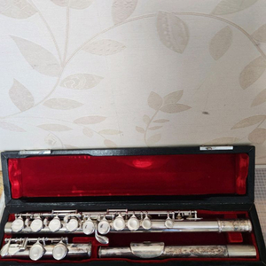 Pearl 501E 플루트 이미지
