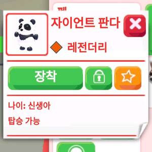 입양하세요 R자이언트판다 초급처!!! 이미지