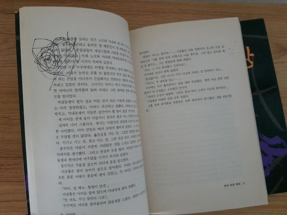 조정래 아리랑 이미지