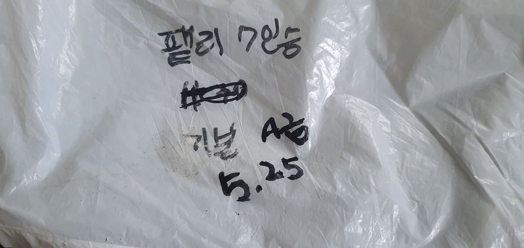 팰리세이드 7인승 트렁크에 딱 맞는 차박 매트입니다 이미지