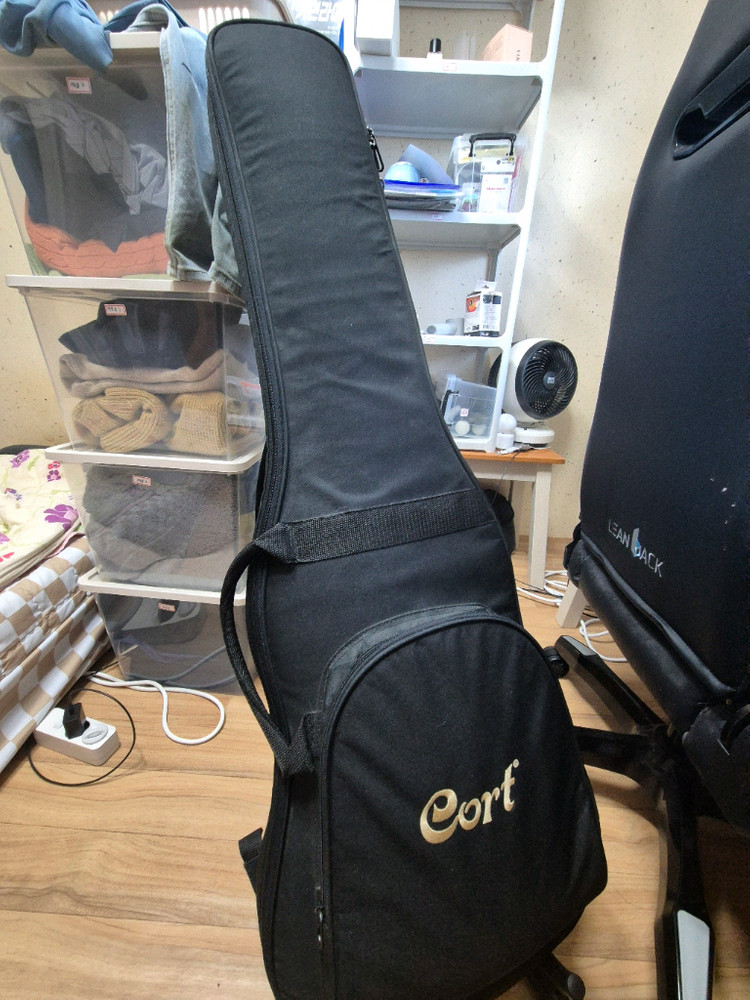 울산직,택배) 일렉기타 cort g250 (콜트g250) 팝니다 이미지