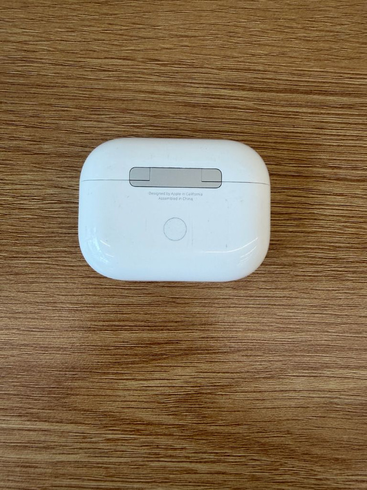 애플 에어팟 프로2 USB-C 본체 이미지