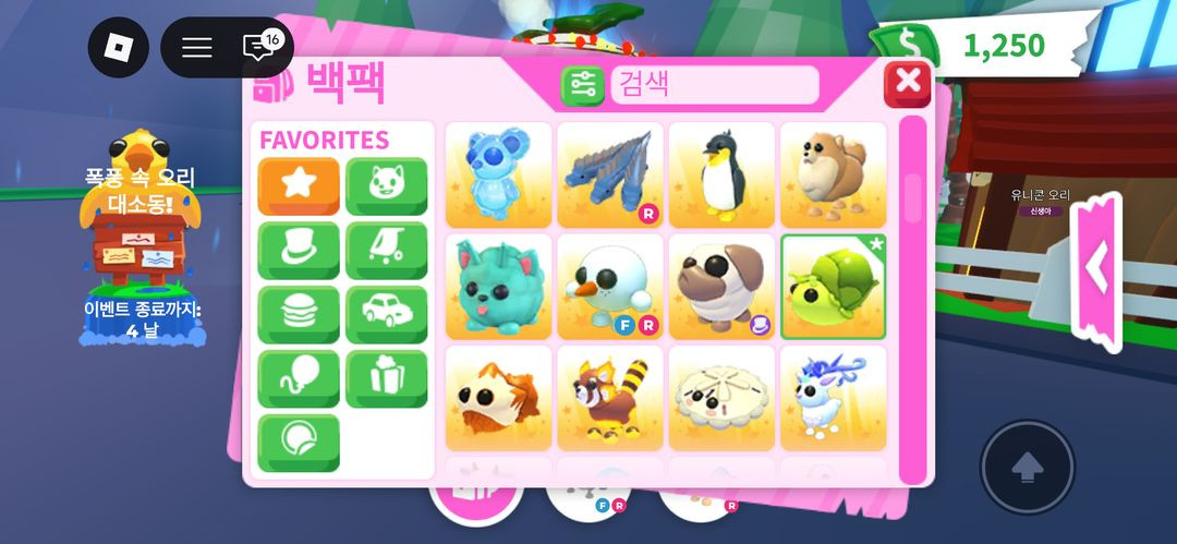 입양하세요 펫 제시 이미지