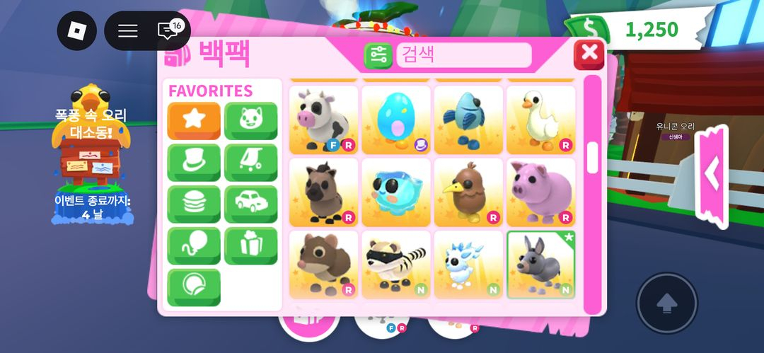 입양하세요 펫 제시 이미지