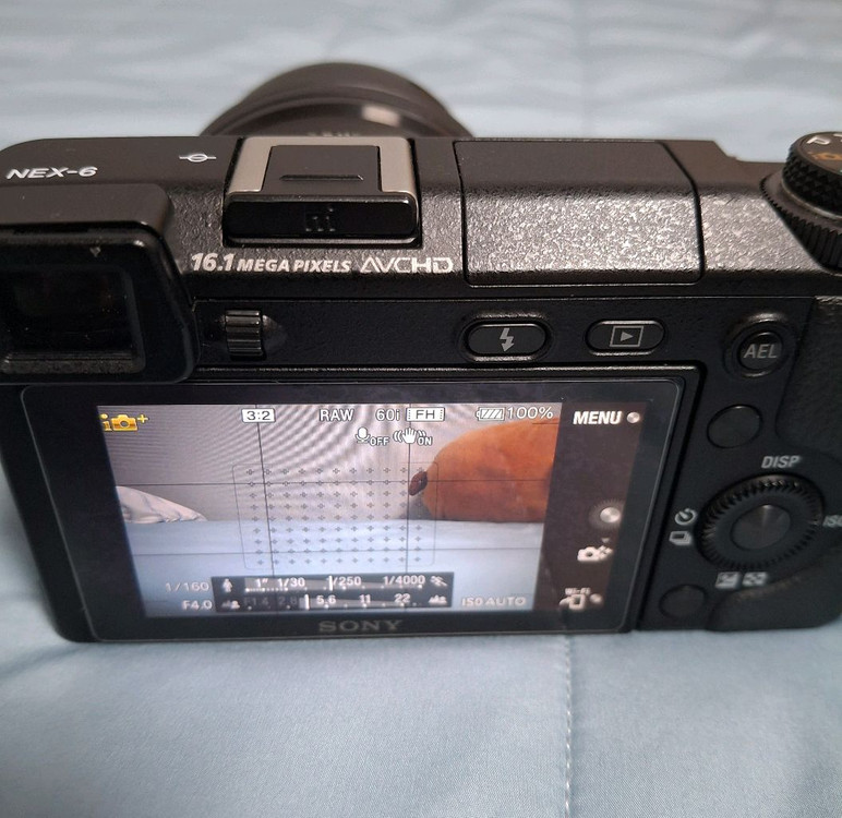 소니 a 알파 Sony nex-6 이미지