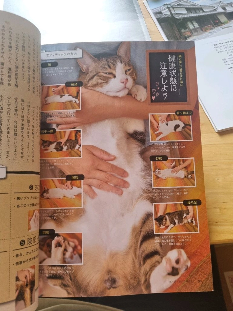 일본의 고양이 관련 잡지책 이미지