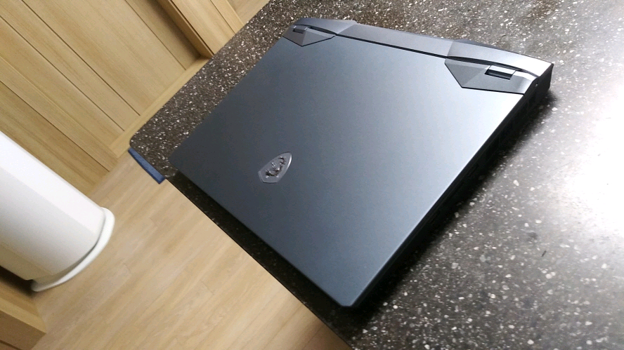 MSI GE66 12UGS 플래그쉽 게이밍 노트북/i9,RTX3070Ti 이미지