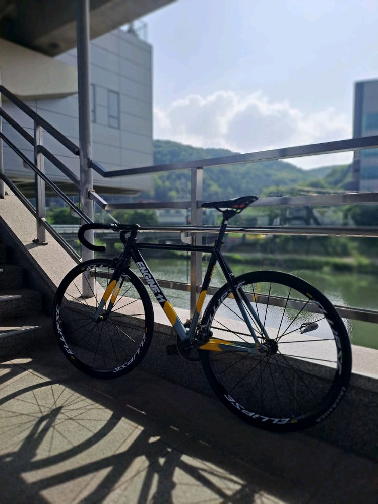 엔진11크릿디 꿀벌 이미지
