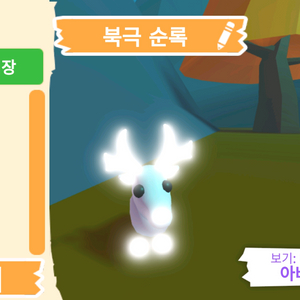입양하세요 펫 네온 북극 순록(네흰순) 판매합니다 이미지