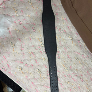 카딜로 310d, xl 이미지