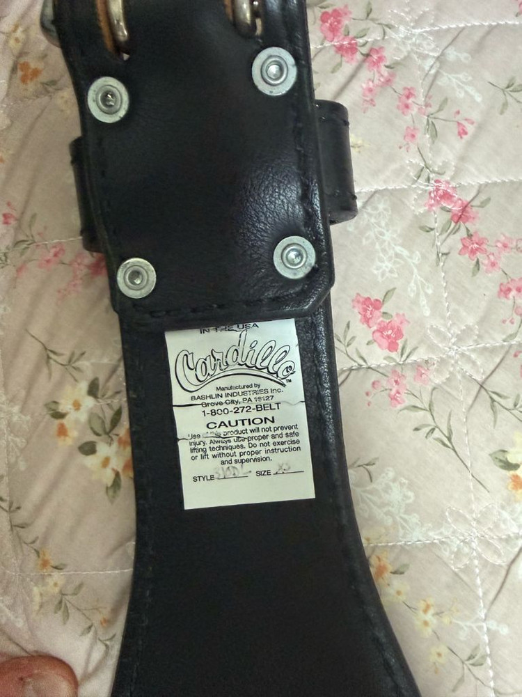 카딜로 310d, xl 이미지