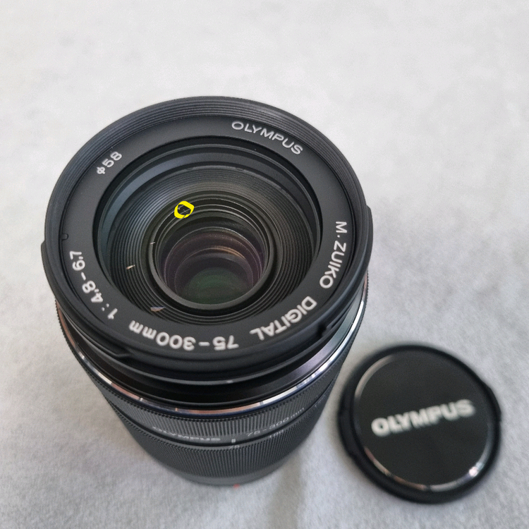 올림푸스 75-300 ii 망원렌즈 (마이크로포서드) 이미지