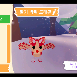 입양하세요 펫 딸기 박쥐 드래곤(딸박) 판매 합니다 이미지