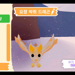 입양하세요 펫 요정 박쥐 드래곤(요박) 판매합니다 이미지