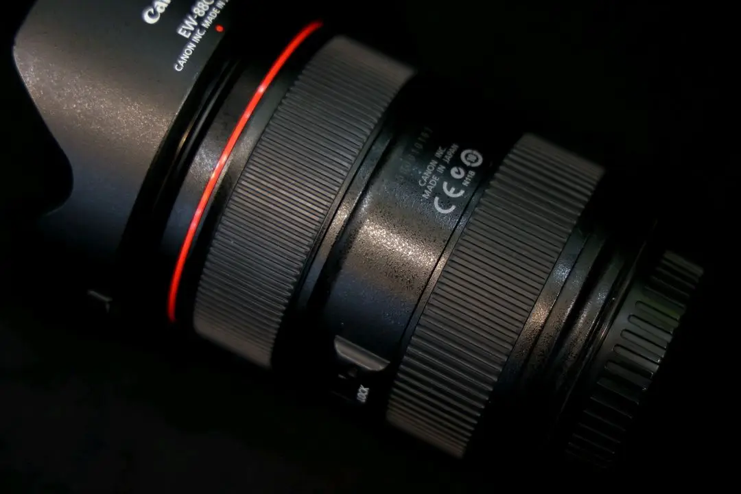 캐논 24-70mm f2.8 ii. 신계륵 이미지