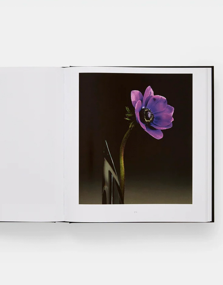 미개봉 / MAPPLETHORPE 로버트 메이플소프 플로라 사진집 이미지