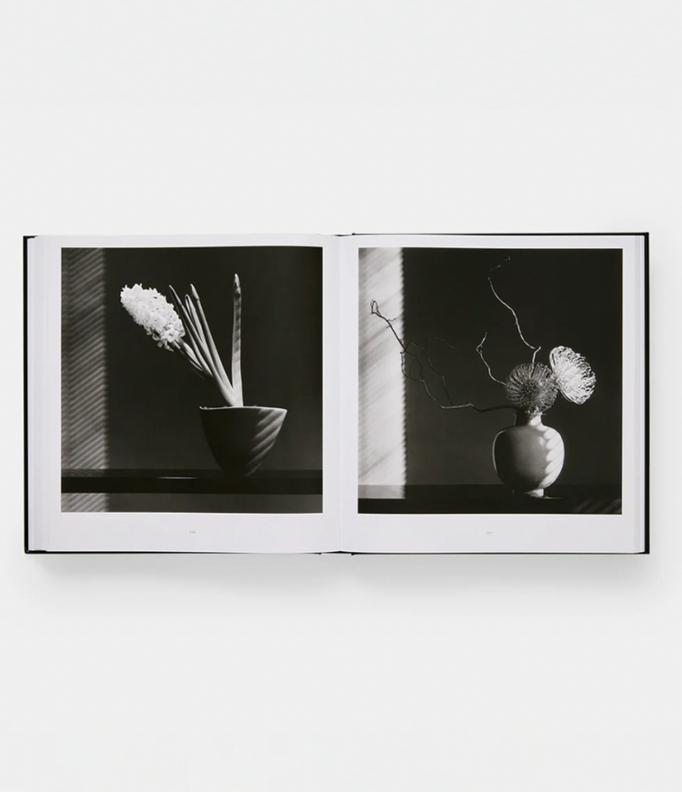 미개봉 / MAPPLETHORPE 로버트 메이플소프 플로라 사진집 이미지