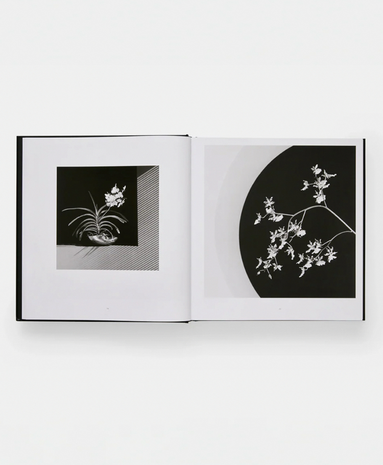 미개봉 / MAPPLETHORPE 로버트 메이플소프 플로라 사진집 이미지