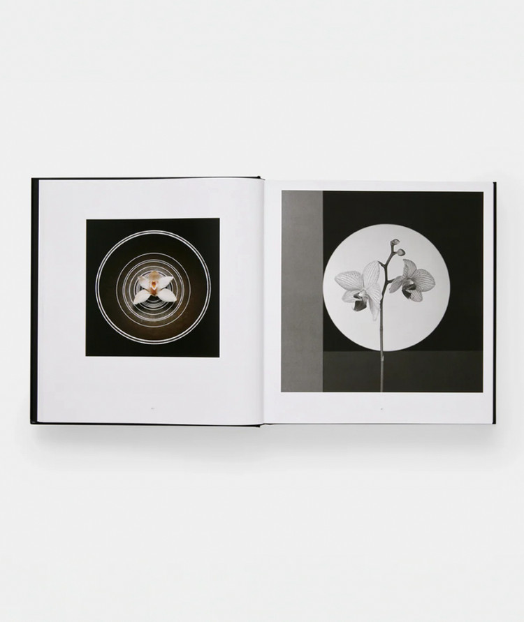 미개봉 / MAPPLETHORPE 로버트 메이플소프 플로라 사진집 이미지