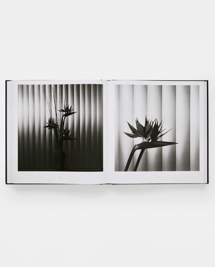 미개봉 / MAPPLETHORPE 로버트 메이플소프 플로라 사진집 이미지