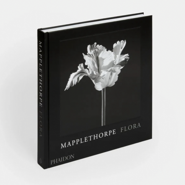 미개봉 / MAPPLETHORPE 로버트 메이플소프 플로라 사진집 이미지