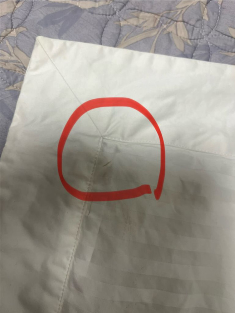 쉐르단 사틴순면 베개커버 이미지