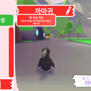 입양하세요 펫 무능 까마귀(까막)판매 합니다 이미지