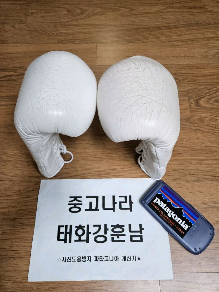 이사미 복서 복싱글러브 IBX-13 화이트 레이스 10온스 이미지