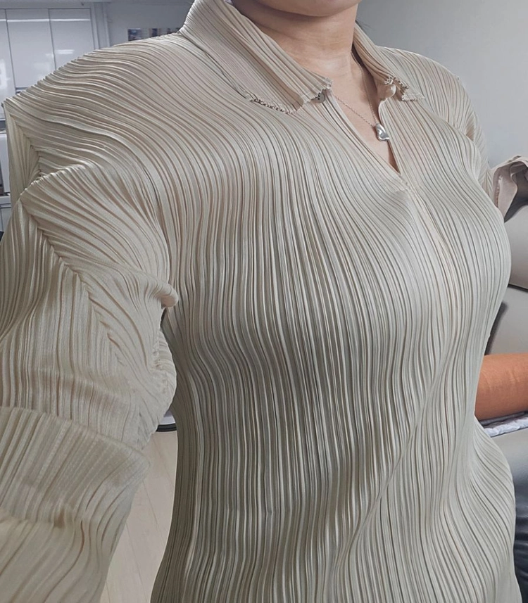 플리츠 블라우스 이미지