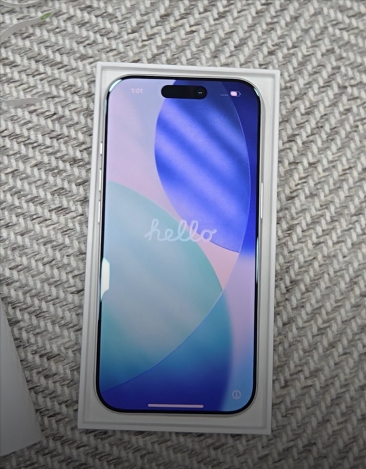 아이폰 17 PRO 실버 256G 이미지