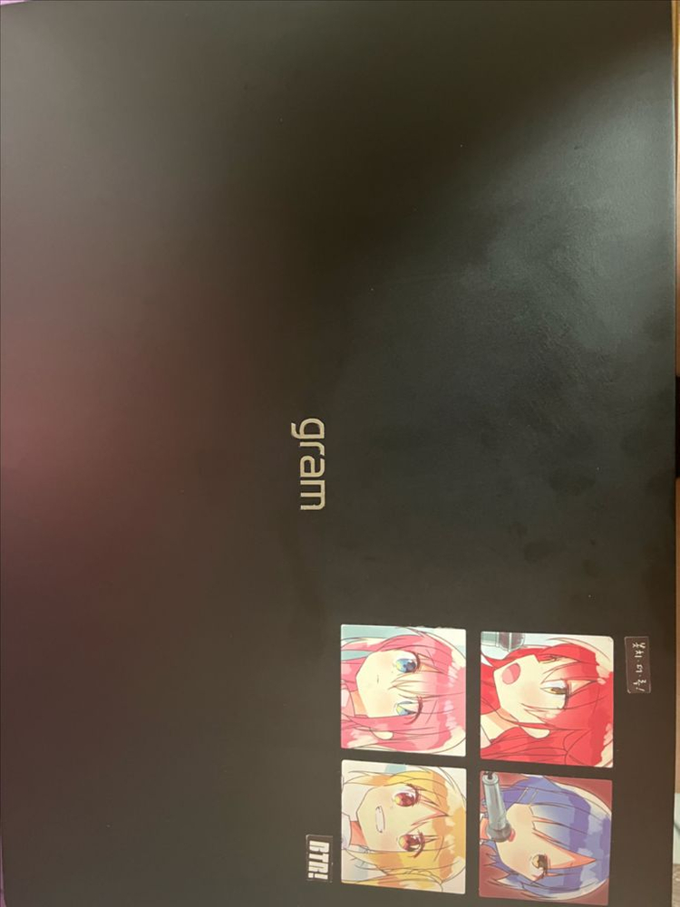lg 그램 프로 16 Ai RTX 4050 이미지