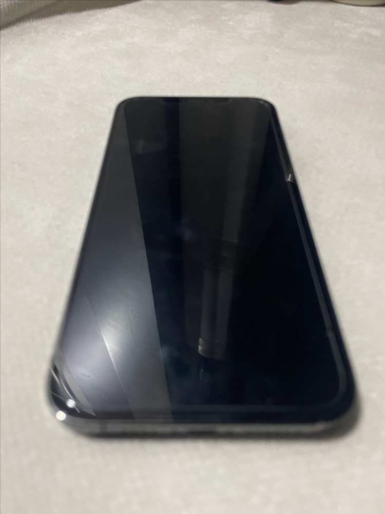아이폰 12 프로맥스 256GB 그래파이트 이미지