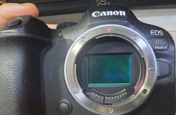 캐논 eos r6mark2 ,r6m2 이미지