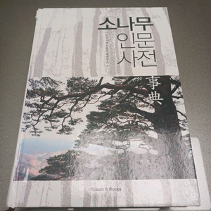 소나무 인문사전 이미지