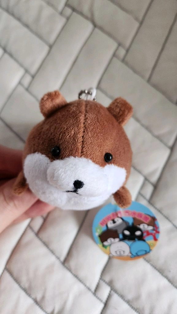 하치와레 인형 이미지