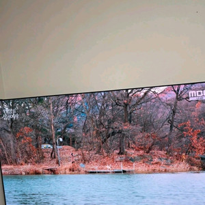 LG 55인치 OLED evo TV OLED55C2FNA 138cm(55) 팝니다 이미지