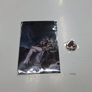 던전앤파이터 던파 여성 인파이터 굿즈 클리어파일 캔뱃지 이미지