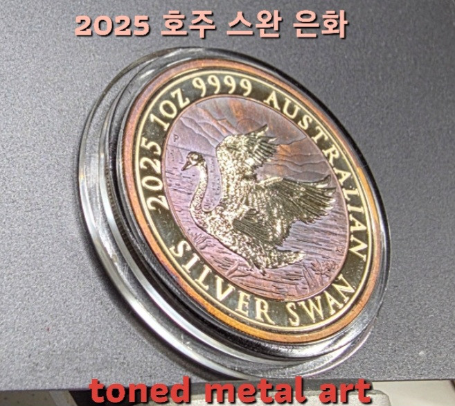 [토닝한 은화 ] 수집 가치가 충분한 2025 호주 스완 1온스 토닝된 은화 작품 팔아요! 이미지