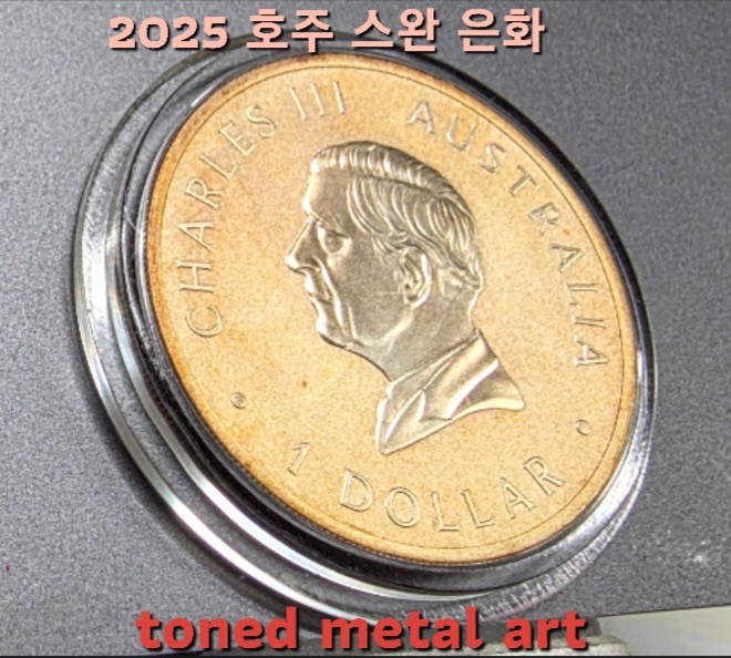 [토닝한 은화 ] 수집 가치가 충분한 2025 호주 스완 1온스 토닝된 은화 작품 팔아요! 이미지