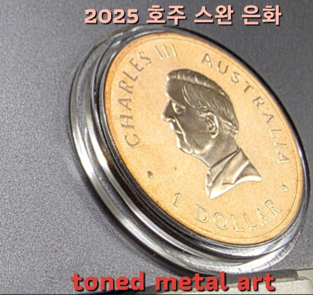 [토닝한 은화 ] 수집 가치가 충분한 2025 호주 스완 1온스 토닝된 은화 작품 팔아요! 이미지