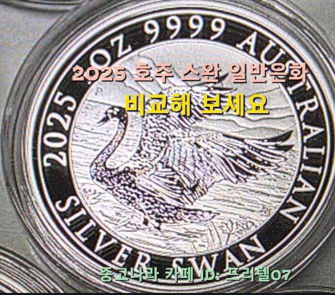 [토닝한 은화 ] 수집 가치가 충분한 2025 호주 스완 1온스 토닝된 은화 작품 팔아요! 이미지