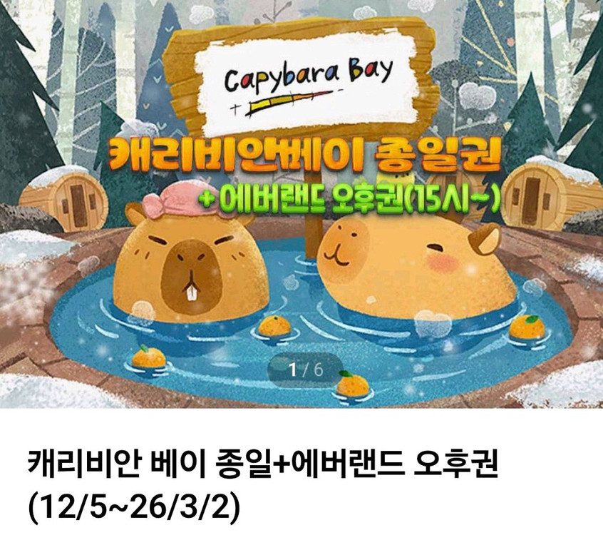 캐리비안베이 종일권 5.28 자켓포함1장 이미지