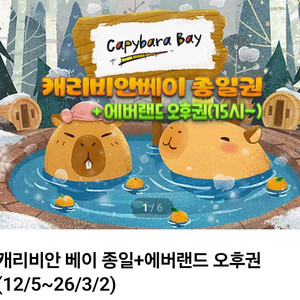 캐리비안베이 종일권 5.28 자켓포함1장 이미지